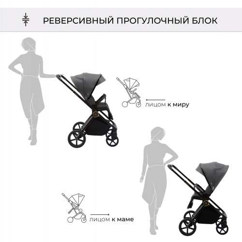 01 427209 Elegante 2в1 GL Grey (91)
