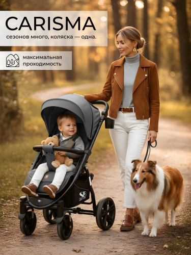01_426787_carisma_grey (1)