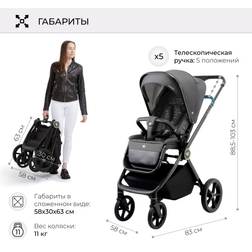 01 427209 Elegante 2в1 GL Grey (7)