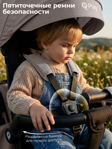 427446-qplay-rider-max-dark-beige-06