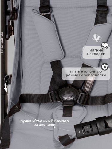 427350_sweet_baby_colibri_plus_light_grey (7)