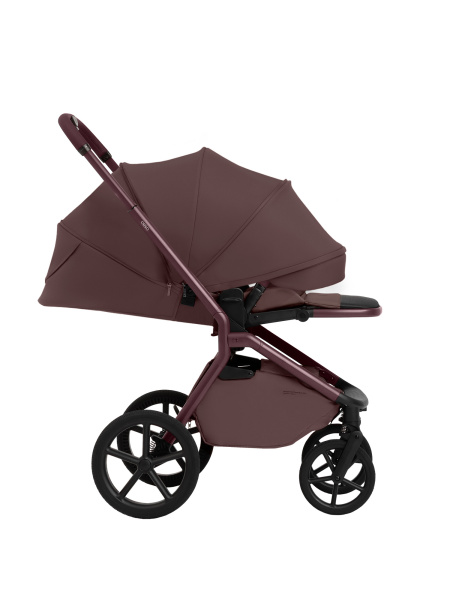 427731-sbl-orso-mokka-03