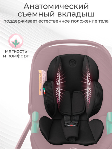 427469-sweet-baby-elegante-plus-black (3)