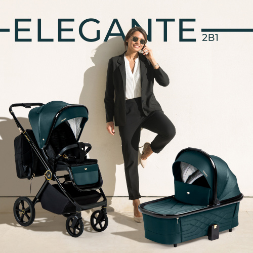 01 427210 Elegante 2в1 GL Blue (1)
