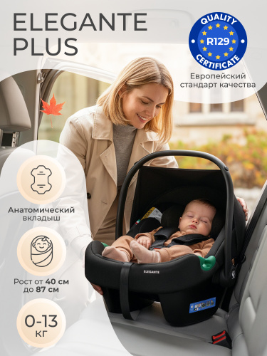 427469-sweet-baby-elegante-plus-black (1)