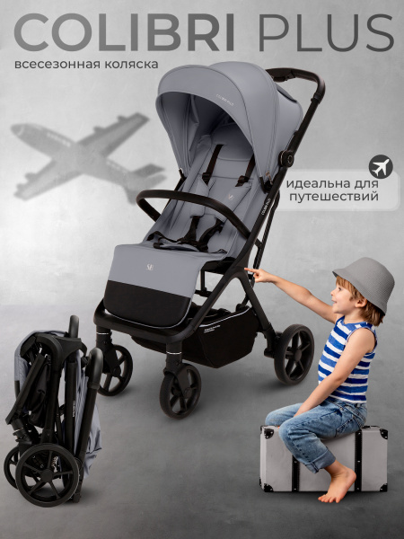 427350_sweet_baby_colibri_plus_light_grey (1)