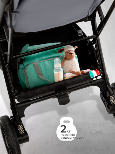 427350_sweet_baby_colibri_plus_light_grey (9)